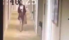 网友爆料男星视频大全,男星私密视频大全，揭秘娱乐圈不为人知的一面